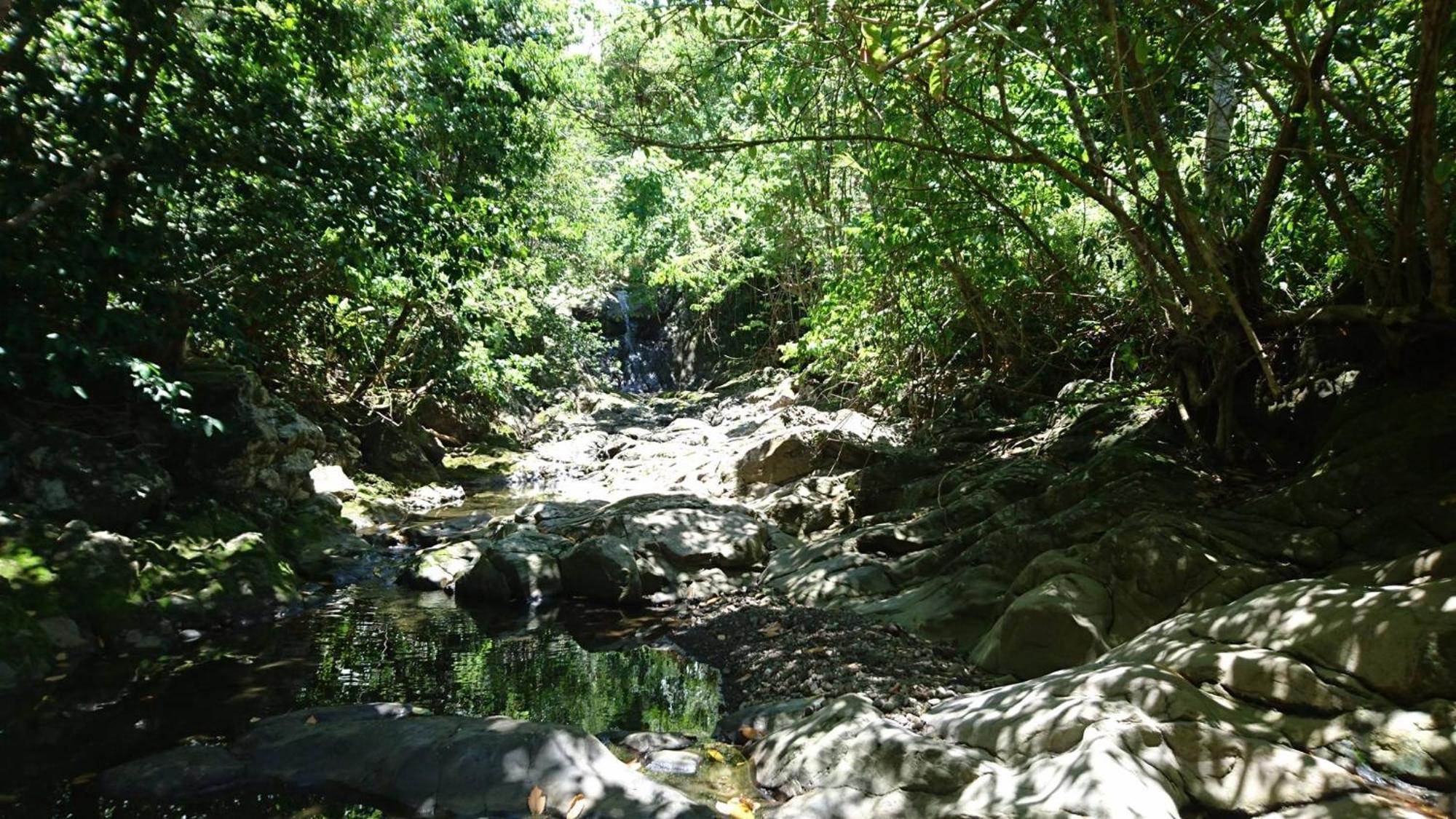 AWMONY'KAZ, Gite à Trois-Rivières GUADELOUPE Exterior foto