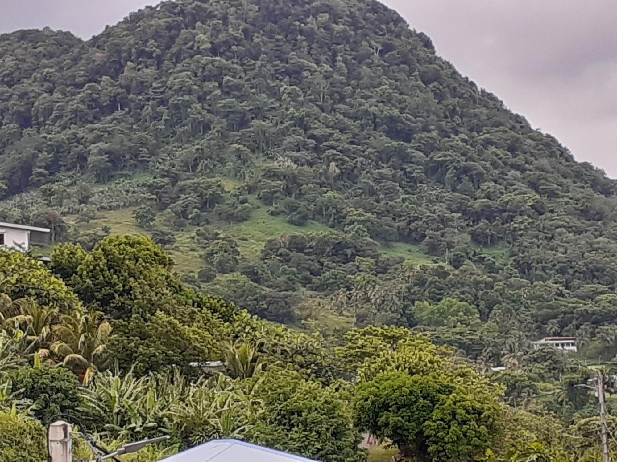 AWMONY'KAZ, Gite à Trois-Rivières GUADELOUPE Exterior foto