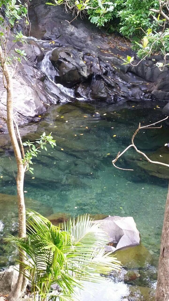 AWMONY'KAZ, Gite à Trois-Rivières GUADELOUPE Exterior foto
